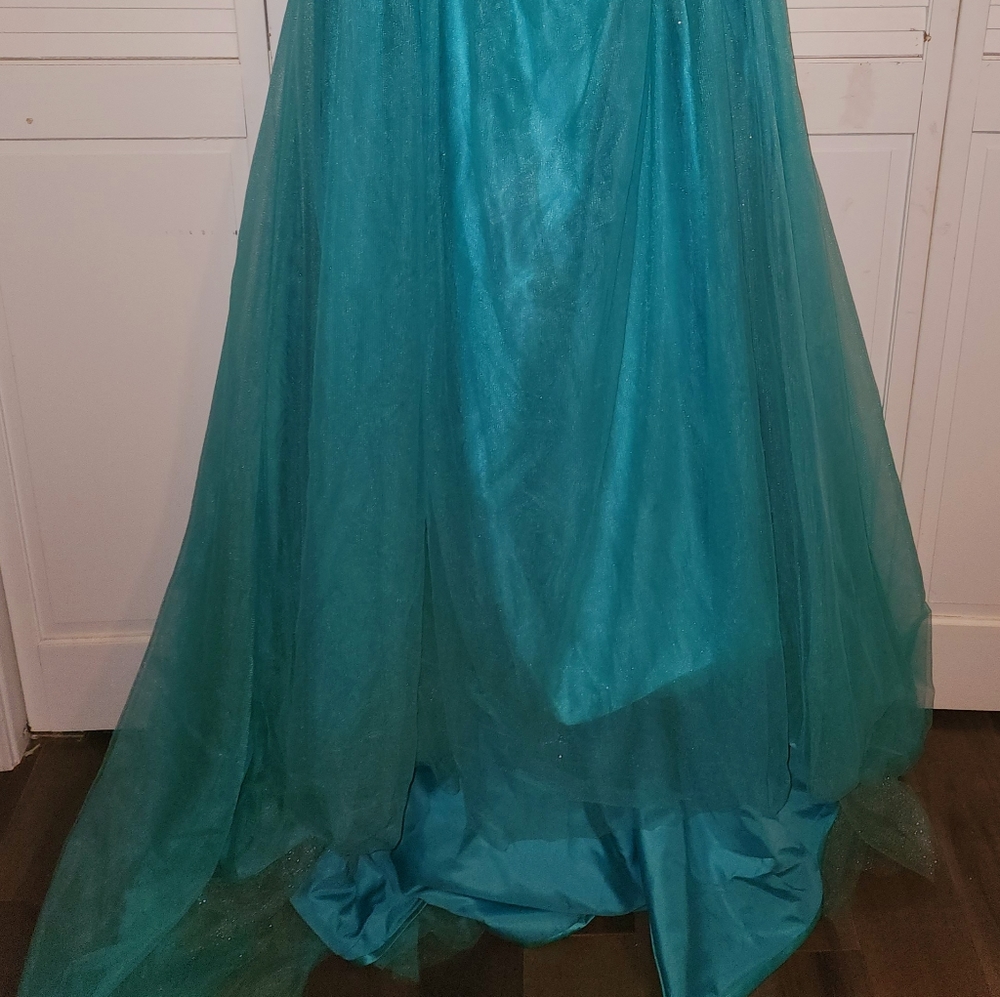 Quinceanera Dress/Ball Gown